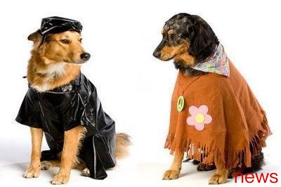 Is it better to raise a male dog or a female dog? Is it big a difference?