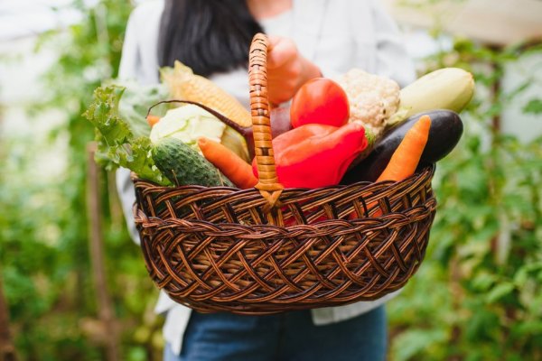 Rich in fiber, vitamins and minerals, 9 types of autumn make the seasonal fruits and vegetables help protect the health of the heart