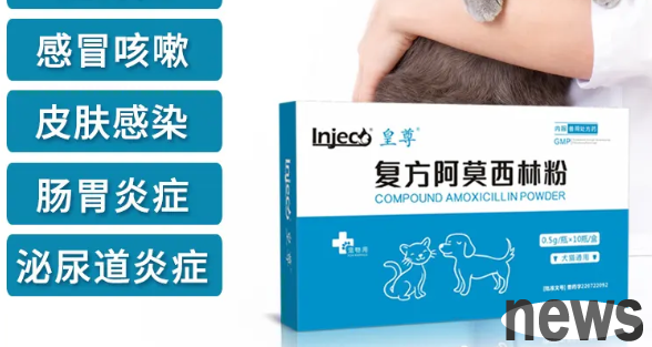 Can cats take amoxicillin anti-inflammatory drugs?