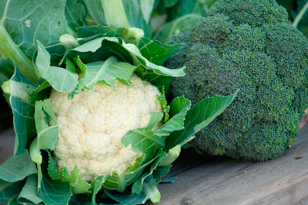 ​Eating these processed foods frequently may accelerate death! Expert: Eat 5 more natural foods to help fight aging