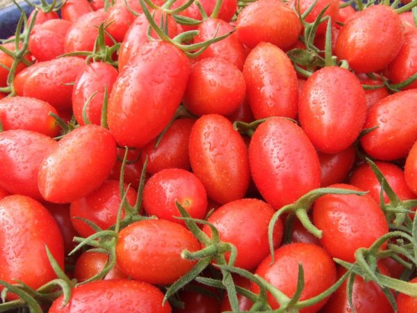 Eating small tomatoes every day will make your skin look lighter. Nutritionists tell you the best time and portion
