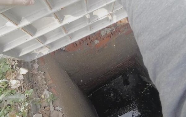 The stray cat fell into the well, although he was waiting for rescue, he still couldn t wait for tomorrow. The young man: I want you to live so much.