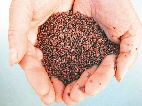 Fermented foods prevent chronic diseases and fertilize red koji.