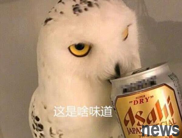 The owl snatched a bite of beer and became unrecognizable: You also have time to contribute emoticons