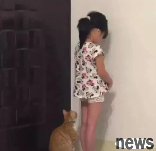 The little master was punished to stand for a mistake, and the cat couldn t bear to watch it anymore