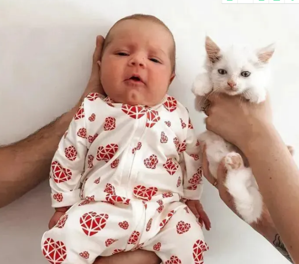 I and the pregnant female cat who was saved gave birth to a baby on the same day!