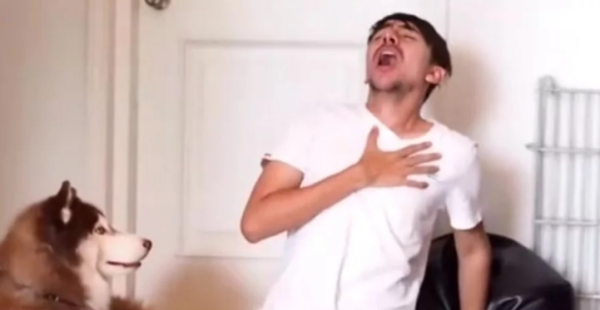 The owner had difficulty breathing and was suffocating. The dog was preparing to give artificial respiration to the owner, but the owner survived!