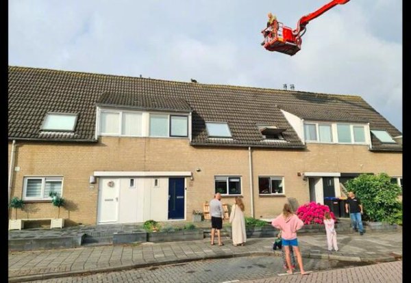 The cat ran to the roof and couldn t get up and down. The fire brigade came to rescue it but it pulled up its daddy. It was so embarrassing.