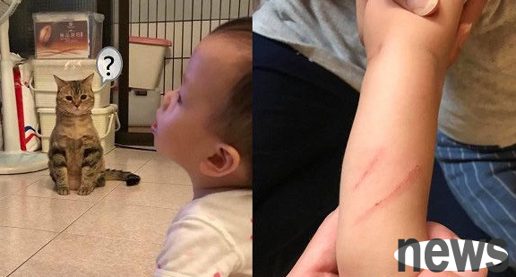 Let me discipline you for you! The Meow Emperor gives his younger brother a cat punch in a domineering manner